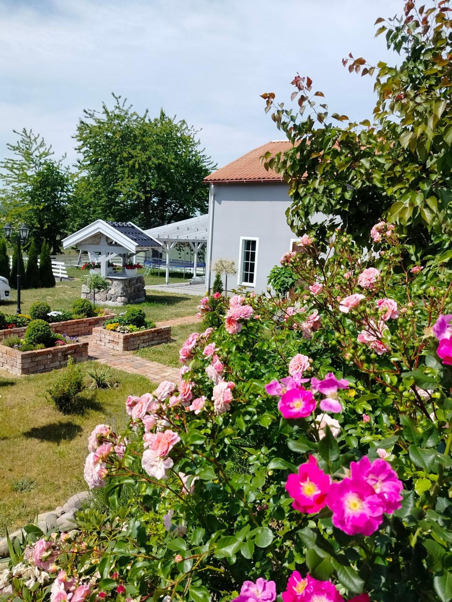Agroturystyka Rybno Rybno  Екстер'єр фото
